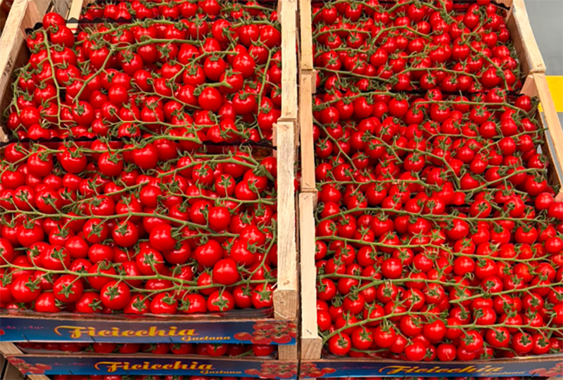 Pomodoro ciliegino - Sicilia - 1,50 euro al chilogrammo